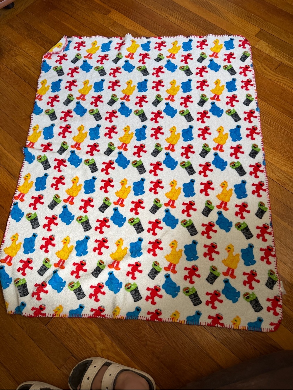 Sesame Street Character Fleece Blanket